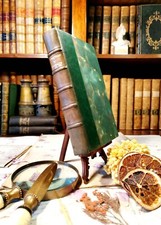 Climats, André Maurois