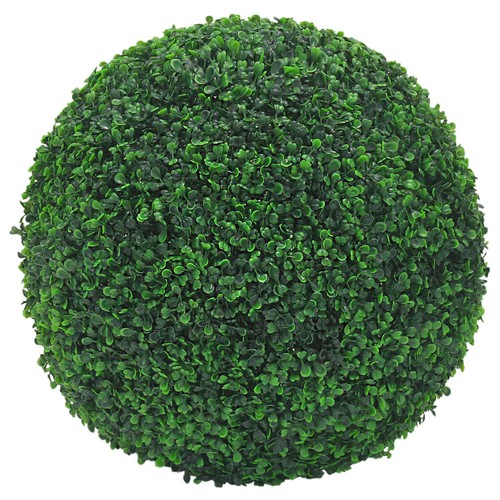 Buis boule plante - boule,