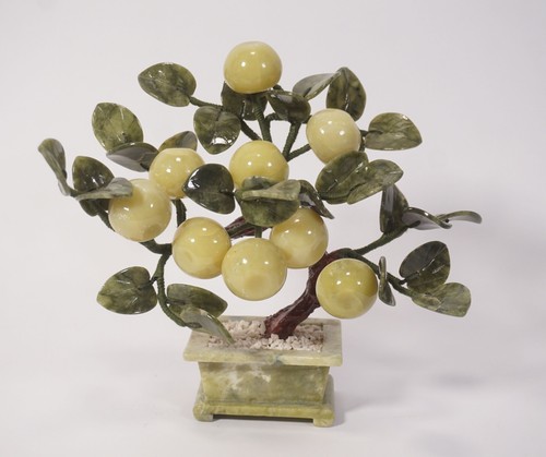 Bonsaï ancien arbre - ancien, jade