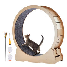 Large Wooden Cat Exercise