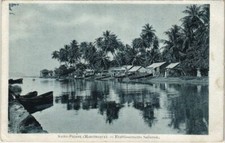 CPA AK Saint Pierre- Etablissement Salleron MARTINIQUE (1045324)