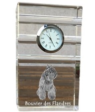 Flandrischer treibhund bouvier - flandrischer, treibhund,bouvier