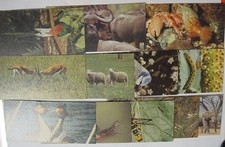 CARTES POSTALES NESTLE