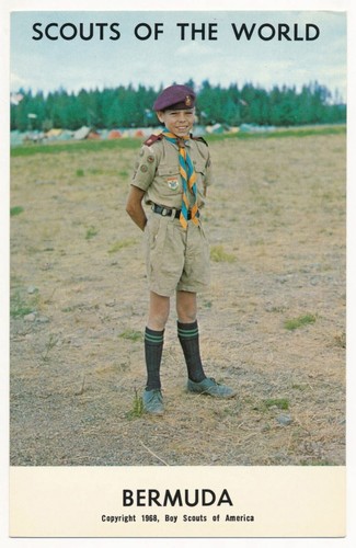 Bermuda scouts the - bermuda,