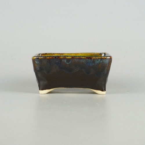 Pot bonsaï japonais yuki - bonsaï,