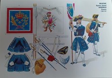 Planche  Rigo AR 56  drapeau