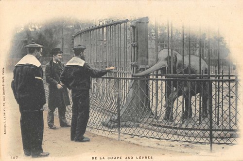 Cpa paris la coupe - 5e,