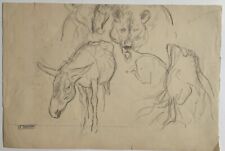 Dessin Ancien Roger Reboussin (1881-1965) Études Animaux Ours Ane