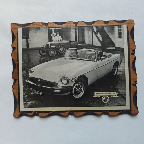 Mgb golden anniversary sebring - mgb,