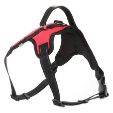  Harnais Pour Traîneau À