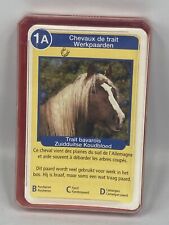 HEMMA Cartes JEU D’ATOUT CHEVAUX / HORSES Europe Complet Super Quartet Vintage