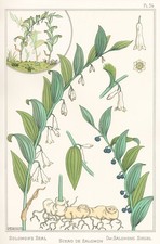 Eugene Grasset Pl. 34 Style