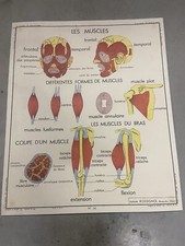 Carte Affiche Scolaire