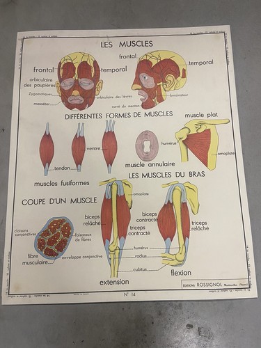 Carte affiche scolaire - carte,