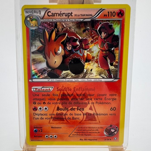 Camérupt team magma - de, la
