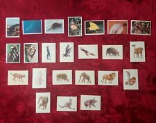 PANINI - ANIMAUX SAUVAGES - 1996 - LOT de 23 Images / Stickers
