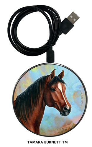 Quarter horse zoomies phone - quarter,