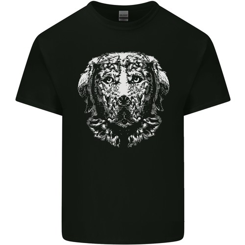 Golden retriever chien hommes - retriever,