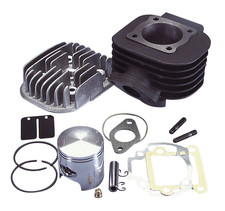 Polini groupe thermique moteur - thermique,