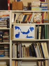 Dessin Lapins Ou Lièvres