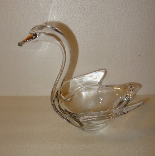 Magnifique grand cygne - grand,