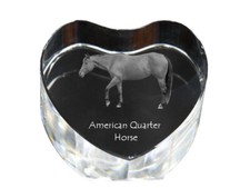 Quarter Horse américain cœur