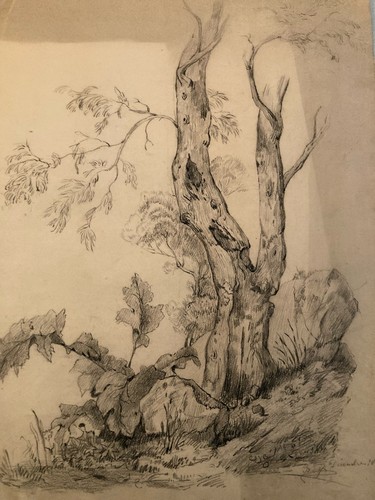 Grand dessin xixe 1888 - dessin,