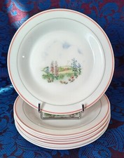 ARCOPAL * MAISON CAMPAGNE * 8 assiettes à dessert diam 19cm fleur rose bleu