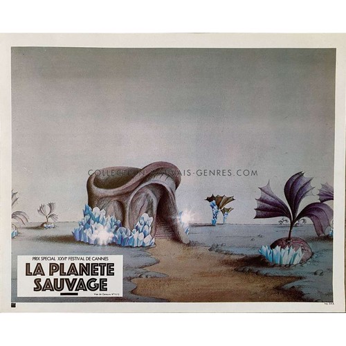 Planete sauvage photo de - la,