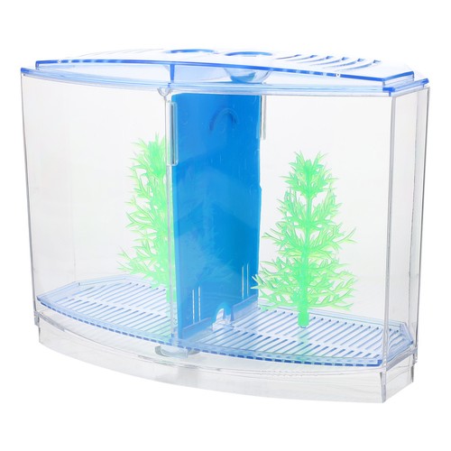 Aquarium pour bureau maison - aquarium,