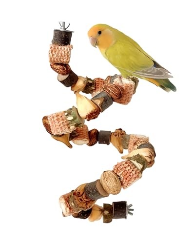 Jouet perroquet jouets - jouet, pour