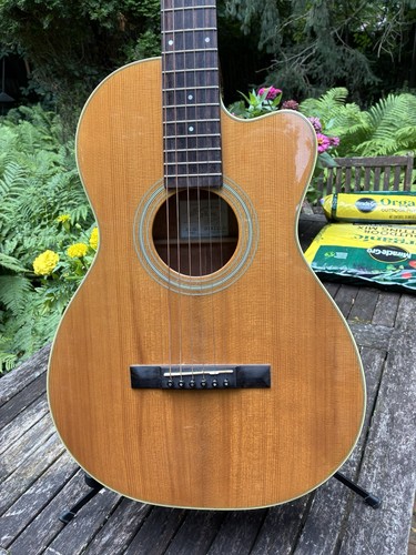 Recording king rp1 16c - king, cutaway