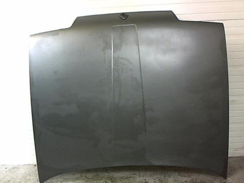 Capot renault r19 - phase, 1