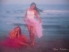 Carte Postale   CHRIS NIKOLSON