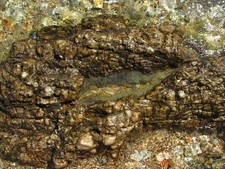 Set de table photo original