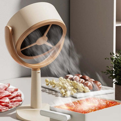 Hotte aspirante portative