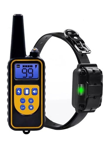 Collier dressage pour chien - dressage,