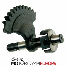 Roue Dentée Secteur