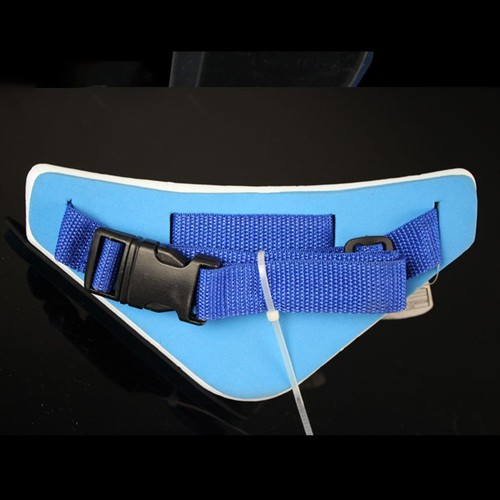 Ceinture soutien canne - de,