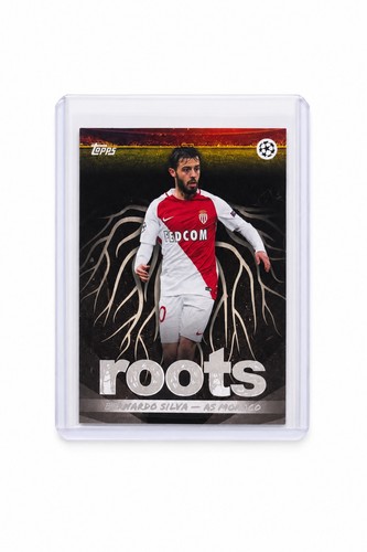 Bernardo silva monaco - monaco, –