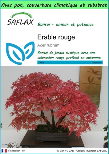 Saflax garden erable - garden,