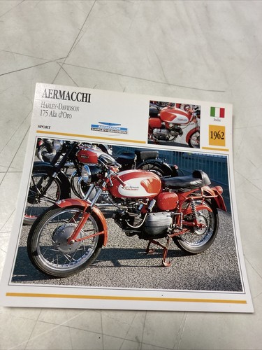 Aermacchi 175 ala oro harley - ala, d'oro