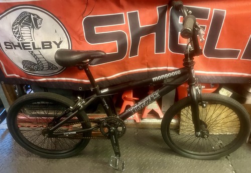 Mint mongoose invert - mint,