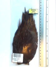 Pêche à la mouche _cou de