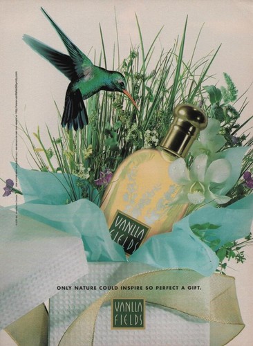 Publicité papier parfum - publicité,