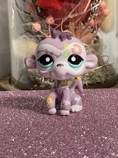 🌸Petshop singe araignee