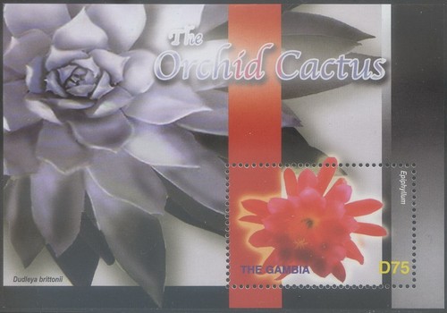 Gambia 2004 mnh - 2004, mnh**