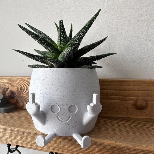 Pot plantes souriant avec - pot, à