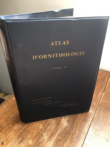 Atlas ornithologie sert tome - d'ornithologie,
