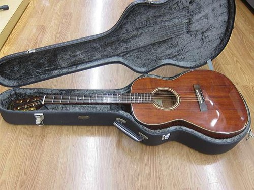 Guitare acoustique électrique